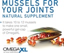 omegaxl-joint-support-supplement---natur-5.jpg
