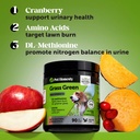 grass-green-max-strength-chews-for-dogs--3.jpg