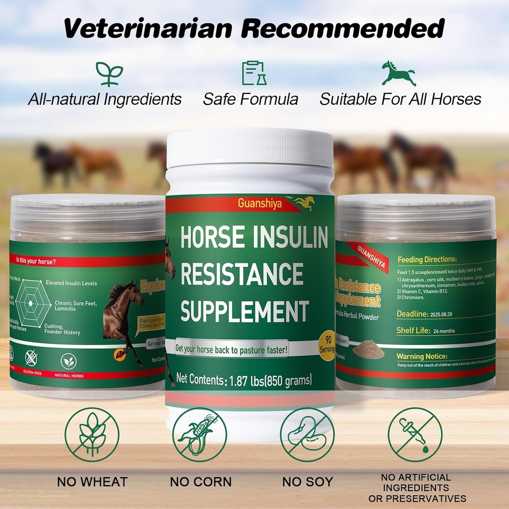 insulin-resistance-supplement-for-horses-3.jpg