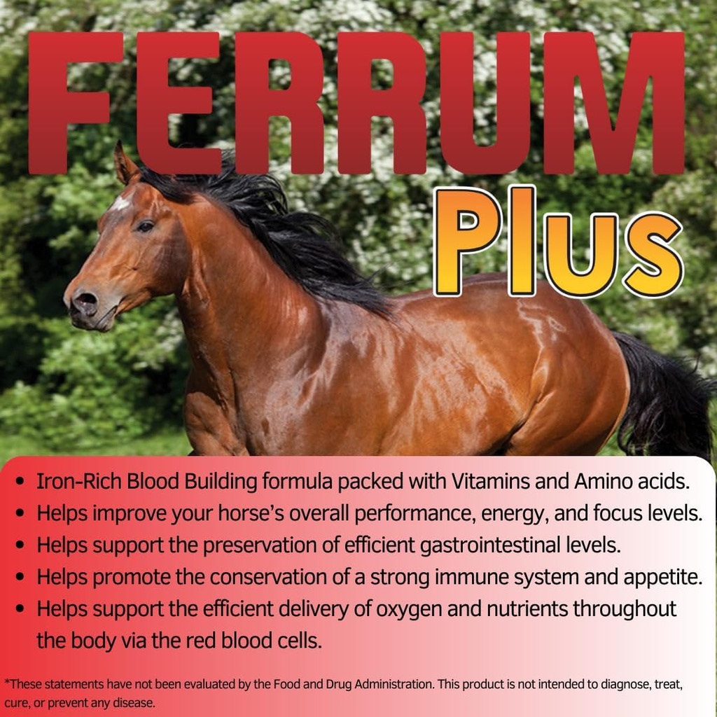 ferrum-plus---iron-rich-blood-support-en-3.jpg
