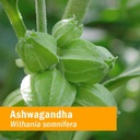 herb-pharm-ashwagandha-rhodiola-root-ext-4.jpg