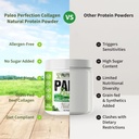 collagen-protein-powder-without-stevia---5.jpg