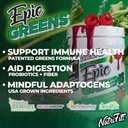 nutrifitt-epic-greens-packed-with-antiox-5.jpg