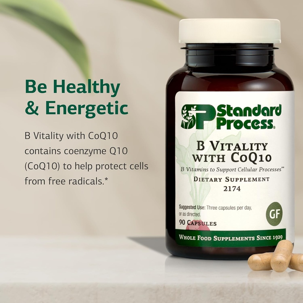 standard-process-b-vitality-with-coq10---3.jpg