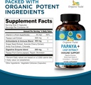 organic-veda-papaya-leaf-plus-supplement-2.jpg
