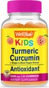 wellyeah-turmeric-curcumin-kids-vitamin--2.jpg