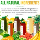 5-day-protein-juice-cleanse-by-raw-fount-5.jpg