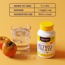 healthy-origins-methyl-folate-800-mcg-qu-5.jpg