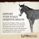 fullbucket-health-foal-probiotic-paste-3.jpg
