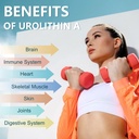 totaria-urolithin-a-supplement-1000mg-wi-3.jpg