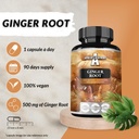 apollos-hegemony-ginger-root-500-mg-extr-4.jpg