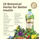 intra-lifestyles-herbal-juice-drink-bota-3.jpg