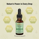 lovita-bee-propolis-liquid-extract-vitam-4.jpg