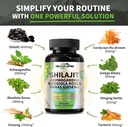 himalayan-shilajit-capsulespurified-hima-6.jpg