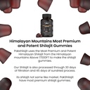 pure-sundried-himalayan-shilajit-gummy-f-6.jpg