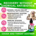 kennel-cough-drops-for-dogs-and-cats---2-2.jpg