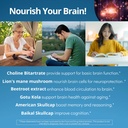 brain-health-nootropic-supplement-lions--6.jpg