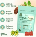 plant-people-wondercalm-mushroom-gummies-5.jpg
