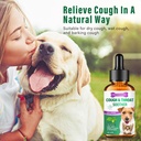 dog-cough-treatment-dog-allergy-relief-s-2.jpg