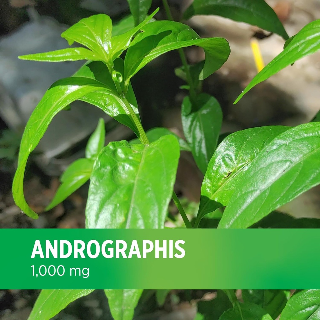 doctors-preferred-andrographis-extract---6.jpg