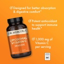 dr-mercola-liposomal-vitamin-c---brain-h-3.jpg