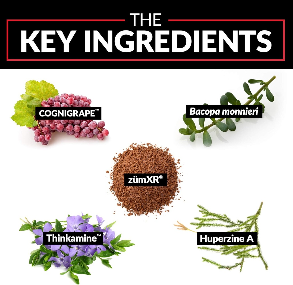 forebrain-nootropic-brain-supplement-to--3.jpg