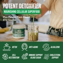 organic-chlorella-powder-raw-sun-grown-n-2.jpg