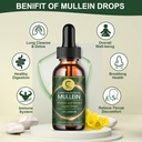 2-pack-mullein-drops-for-lungs---high-po-3.jpg