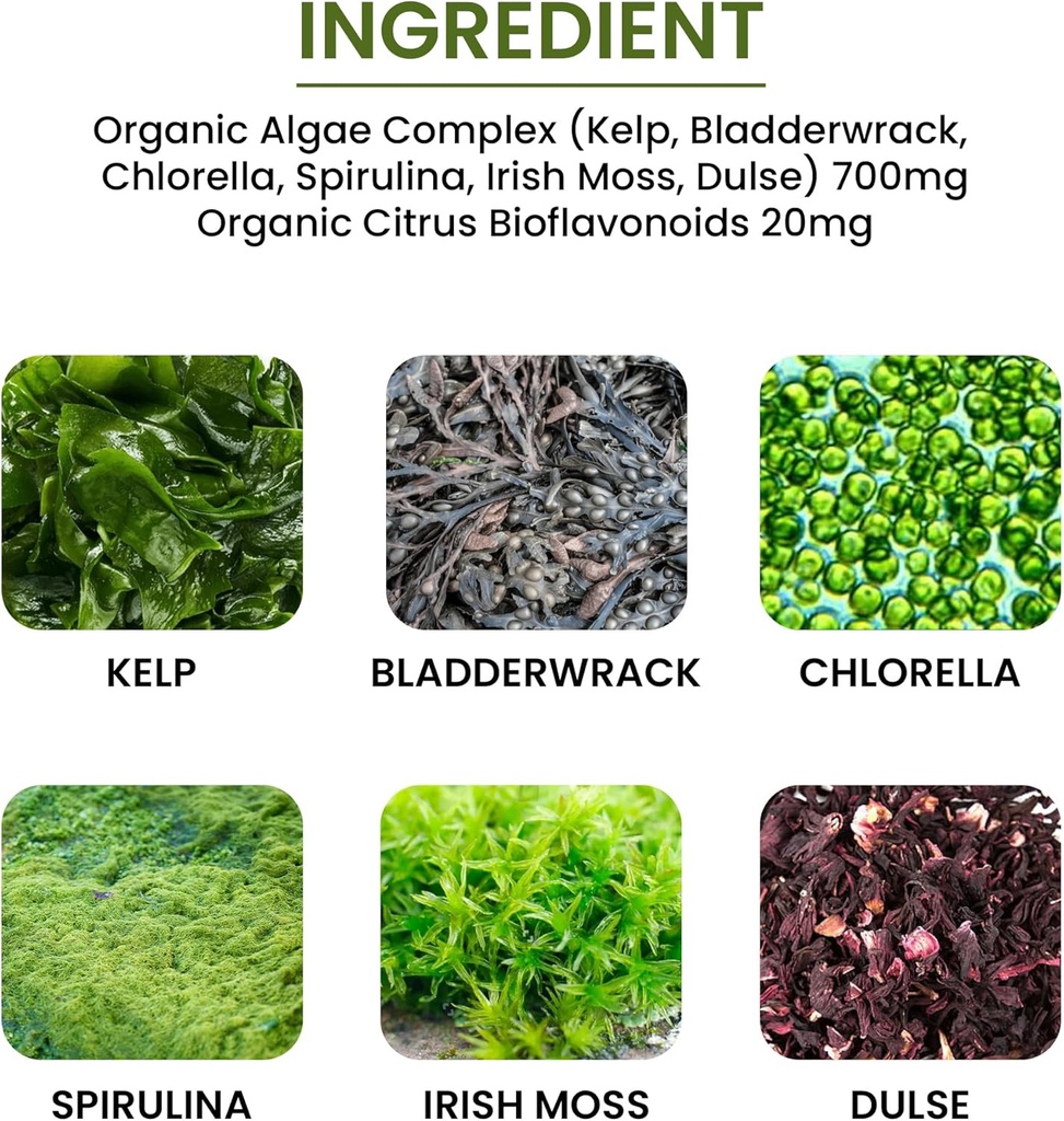 algae-fucoidan-blue-green-algae-kelp-bla-3.jpg