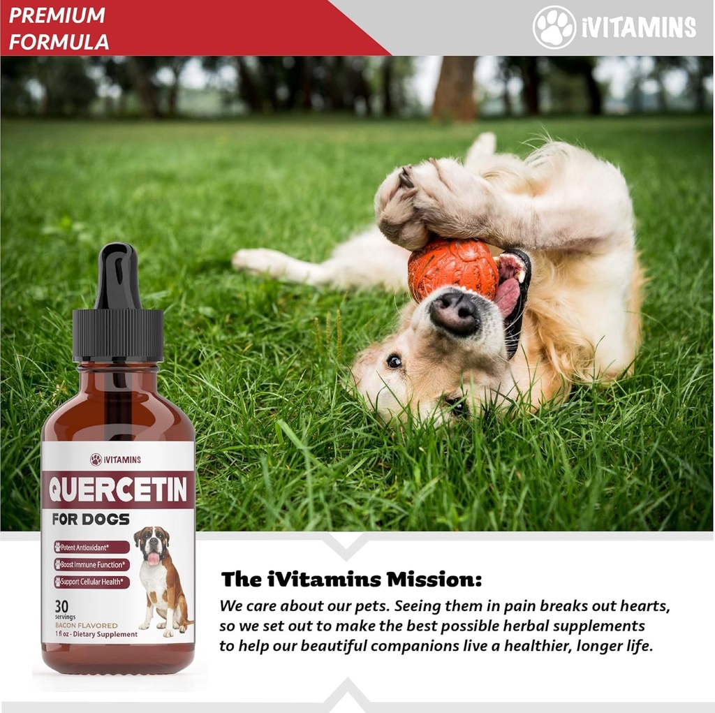 quercetin-for-dogs-dog-allergy-relief-qu-6.jpg