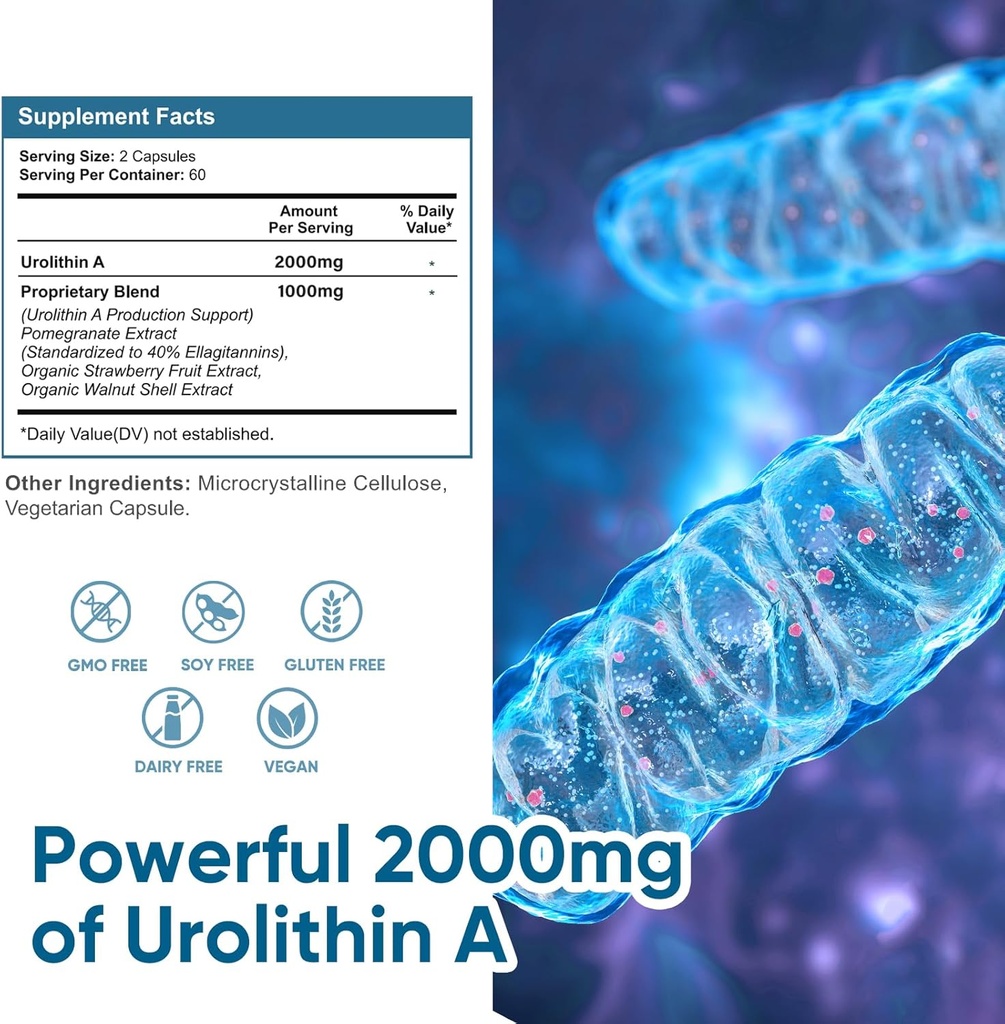 urolithin-a-supplement-2000-mg---360-cap-4.jpg