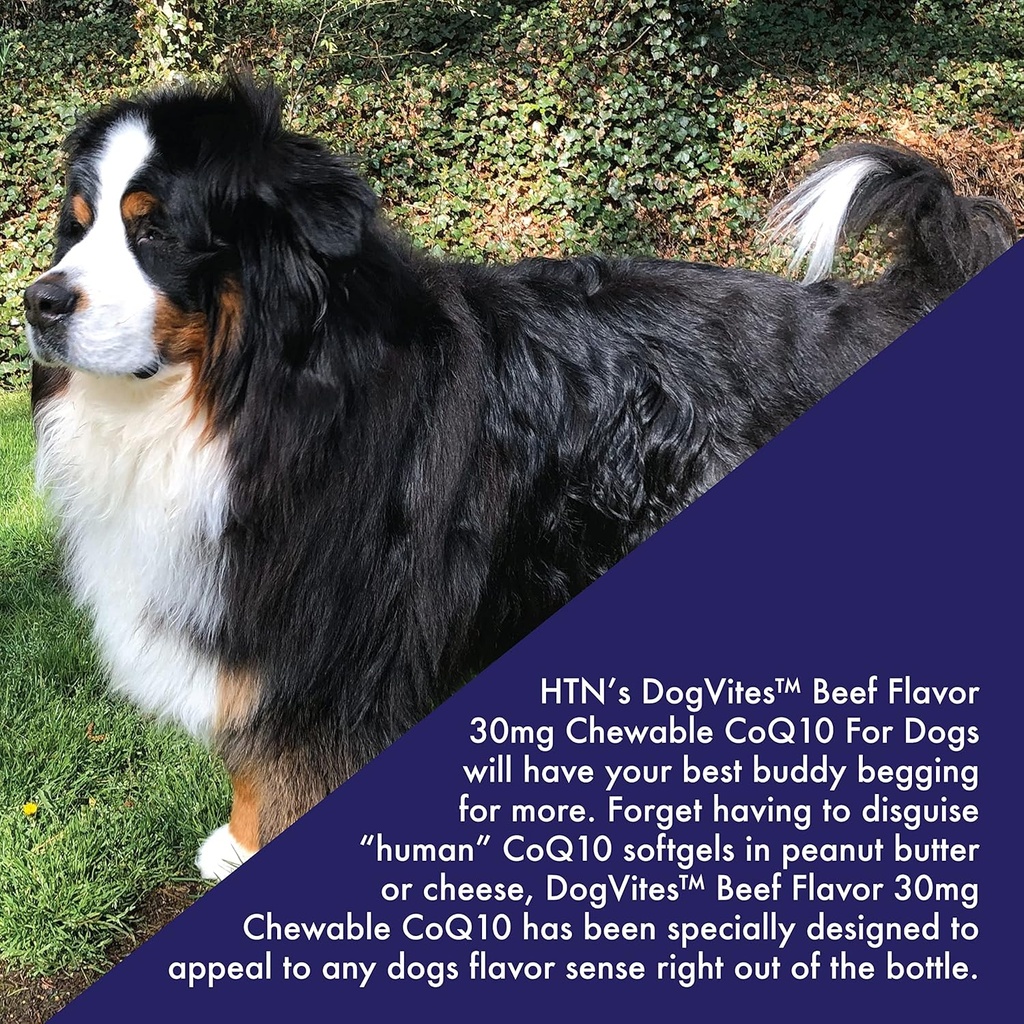 health-thru-nutrition-dog-vites-coq10-fo-4.jpg