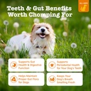 zesty-paws-orastix-for-dogs---probiotic--2.jpg