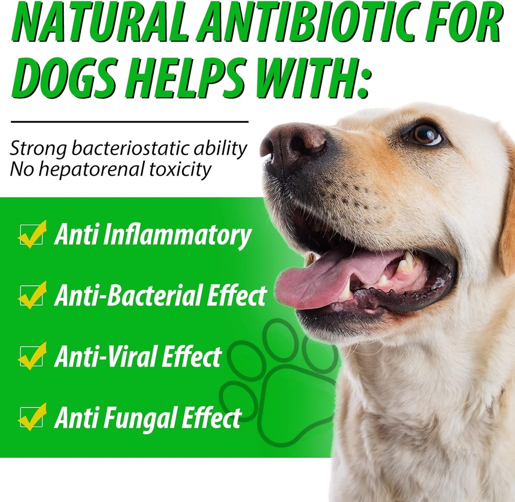 2-pack-antibiotics-for-dogs-natural-anti-6.jpg