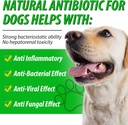 2-pack-antibiotics-for-dogs-natural-anti-6.jpg