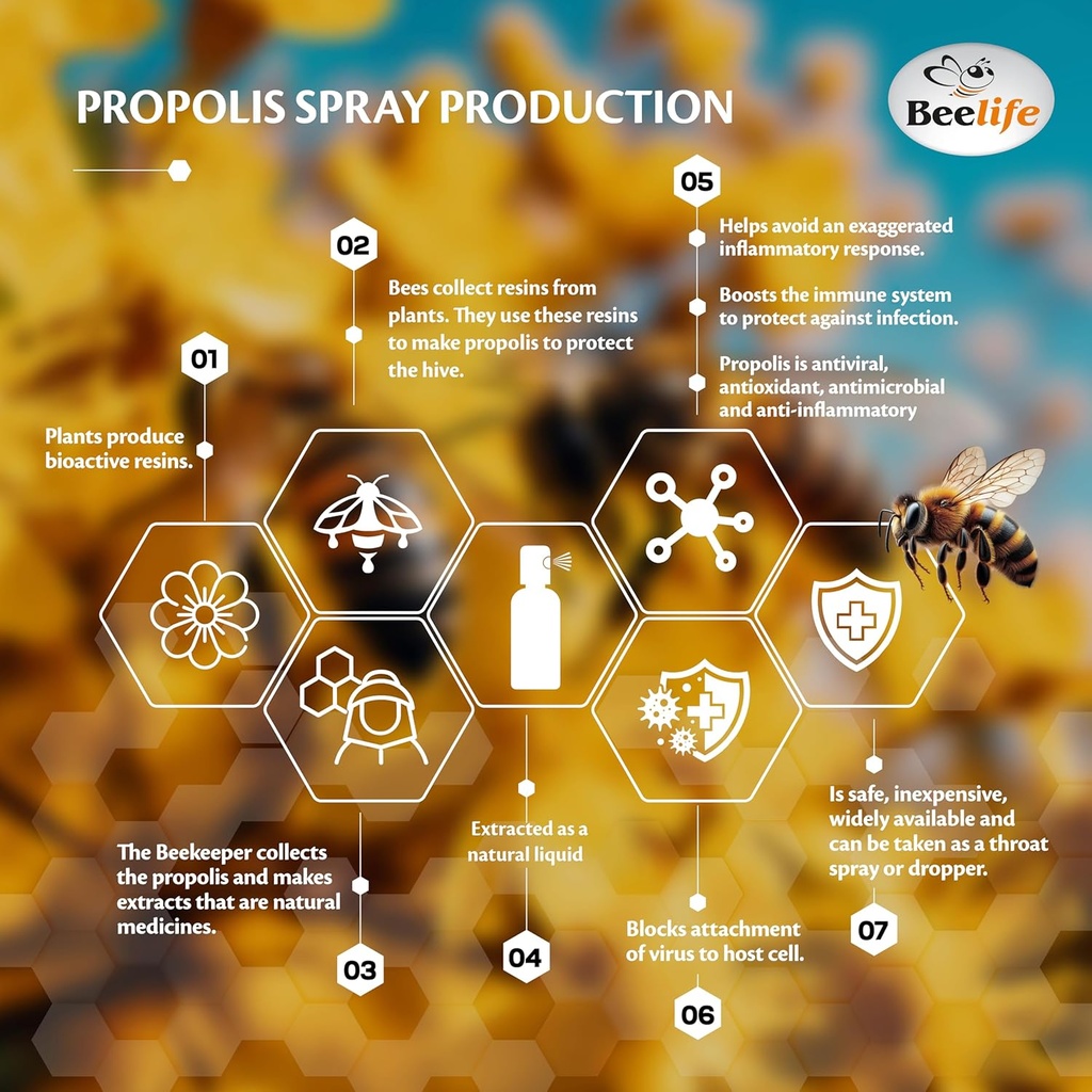 beelife-propolis-throat-spray-bee-propol-6.jpg