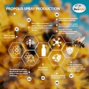 beelife-propolis-throat-spray-bee-propol-6.jpg