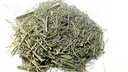 ancient-indian-ayurvedic-herb-swertiachi-2.jpg