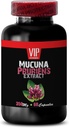 focus-and-memory-supplements---mucuna-pr-2.jpg