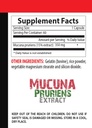 focus-and-memory-supplements---mucuna-pr-5.jpg
