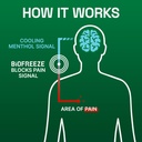 biofreeze-menthol-pain-relieving-gel-4-f-6.jpg