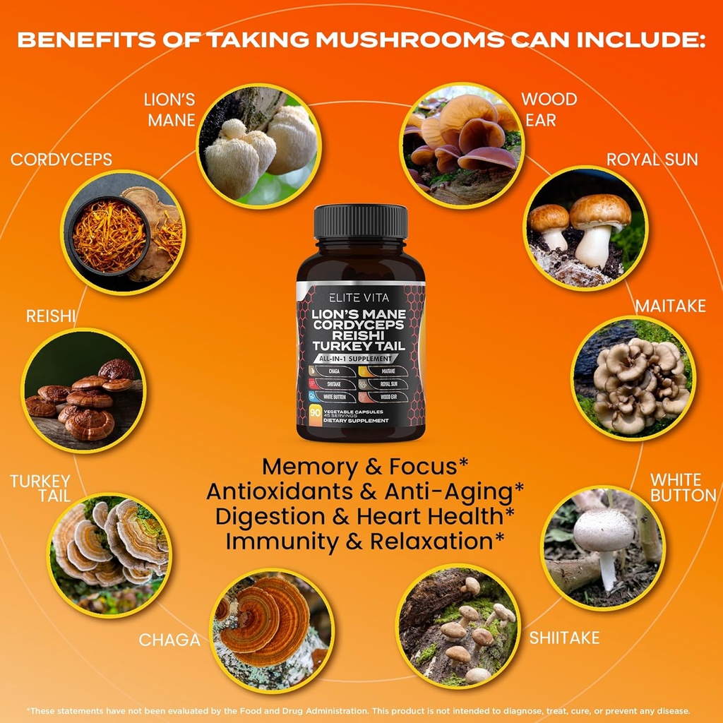 nootropic-mushroom-supplement---lions-ma-4.jpg