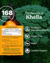herb-pharm-khella-liquid-extract-for-res-2.jpg