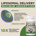 liposomal-coq10-800mg-ubiquinol-softgel--4.jpg
