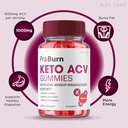 rize-labs---pro-burn-keto-acv-gummies-ad-2.jpg