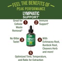 lymphatic-drainage-drops-sugar-free-7-in-2.jpg