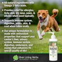 silver-lining-herbs-coconut-oil-for-dogs-2.jpg