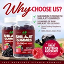 shilajit-gummies-10000mg-for-men-women---2.jpg