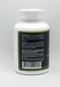 true-green-tea-extract-premium-green-tea-2.jpg