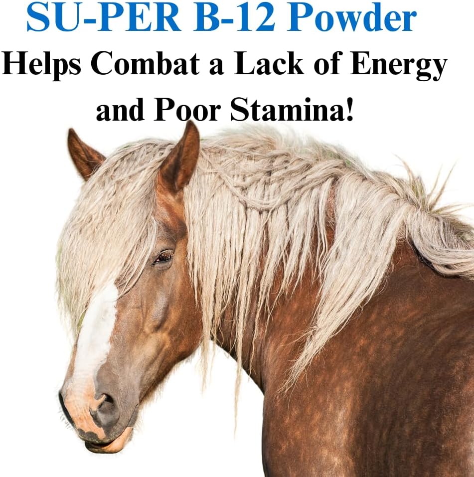 su-per-b12-for-horses---equine-vitamins--3.jpg